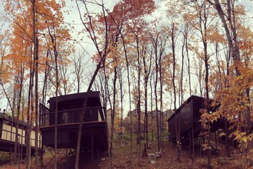 Cabin Sutton 252 - En Harmonie Avec La Nature! Villa Ngoại thất bức ảnh